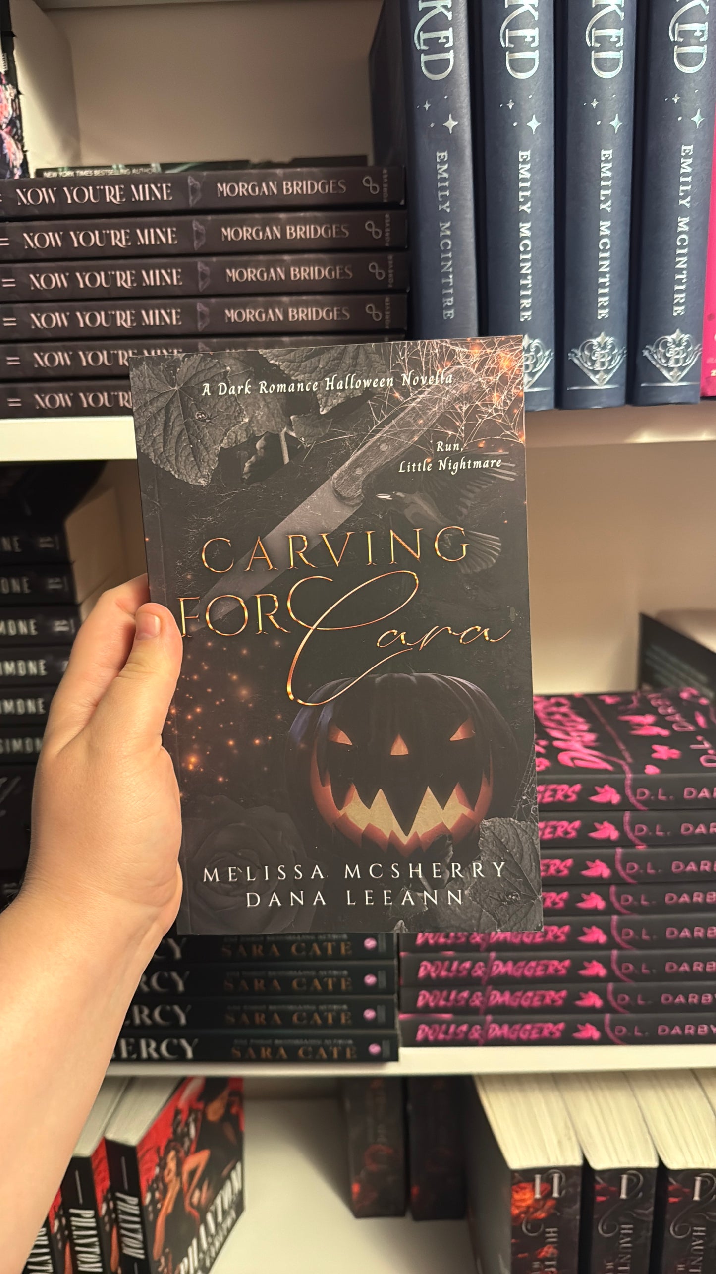 Halloween Spicy Book Bundle