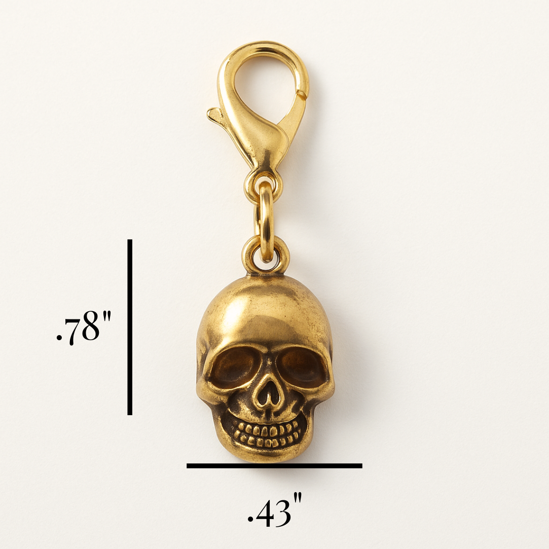 Kindle Dust Plug Skull