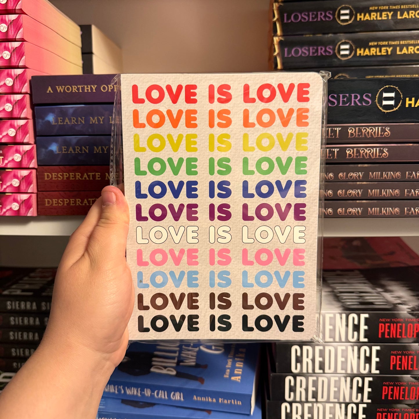 Love is Love Journal