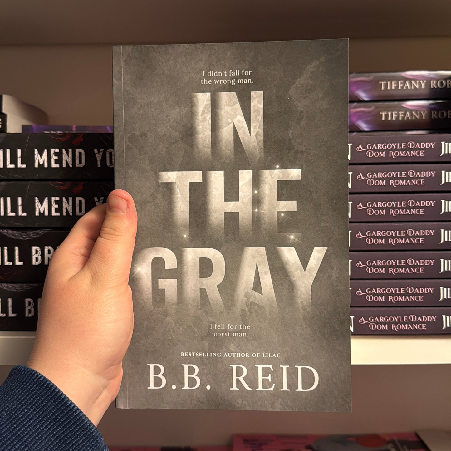 In The Grey by B.B Reid