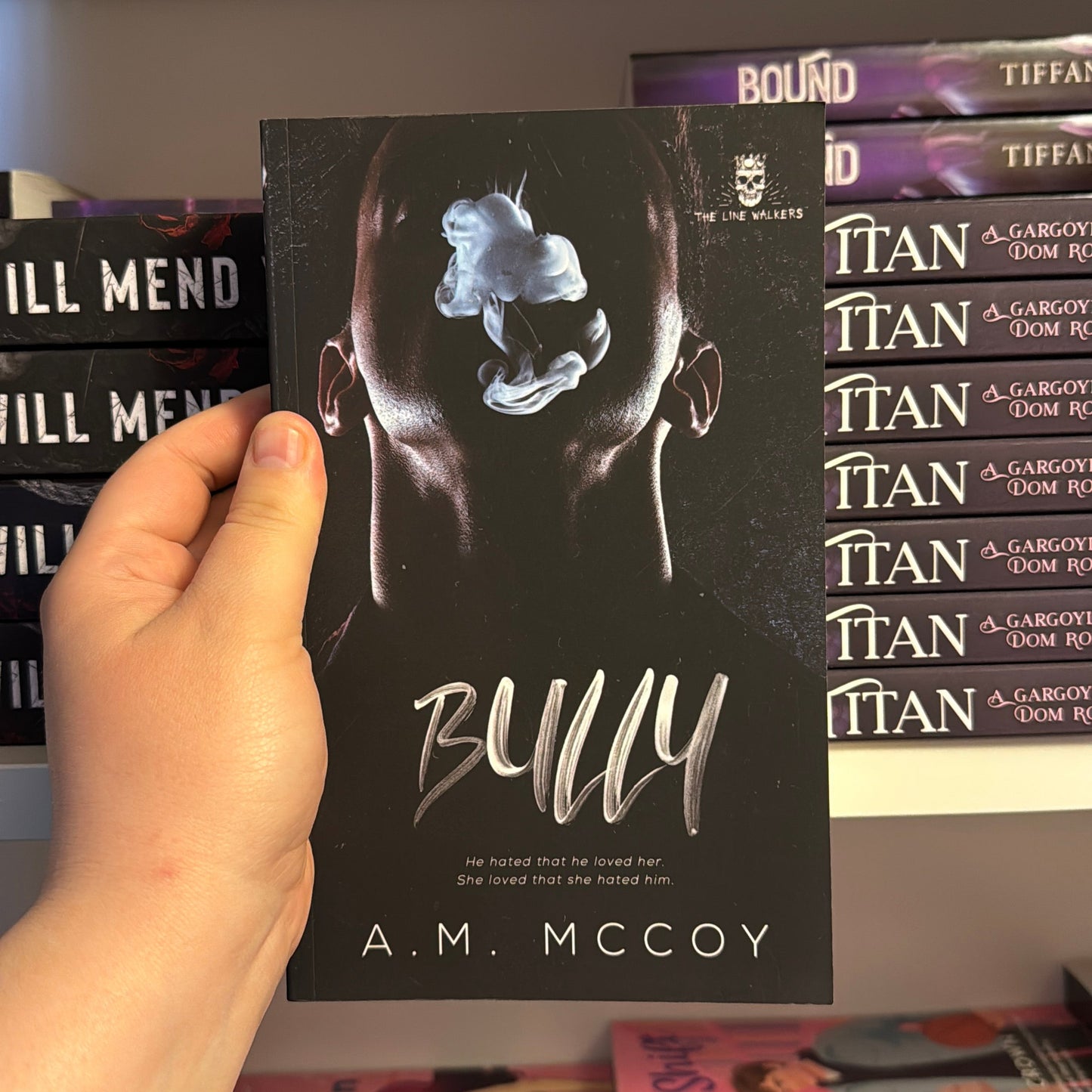 Bully by A.M McCoy
