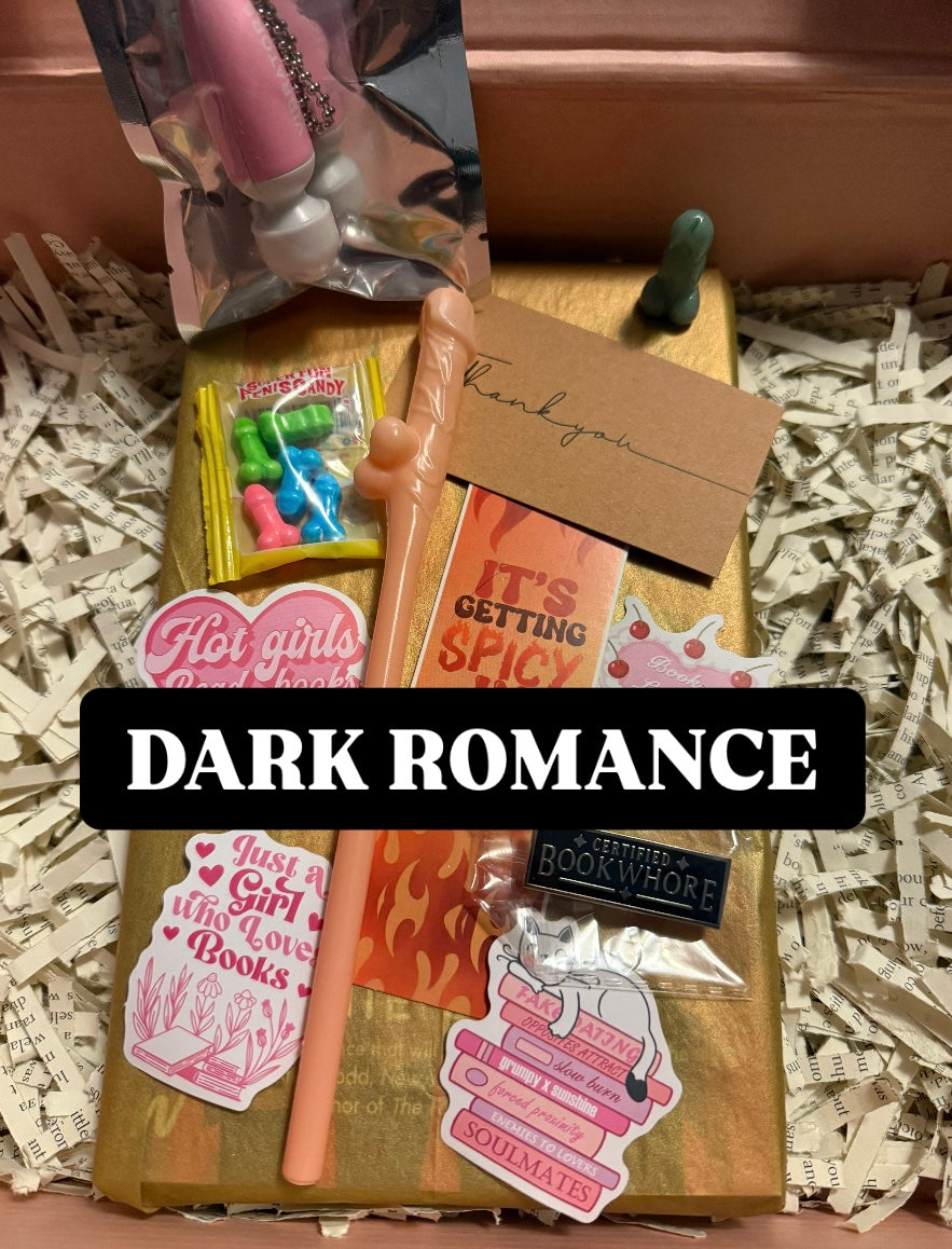 Spicy Book Bundle: Dark Romance