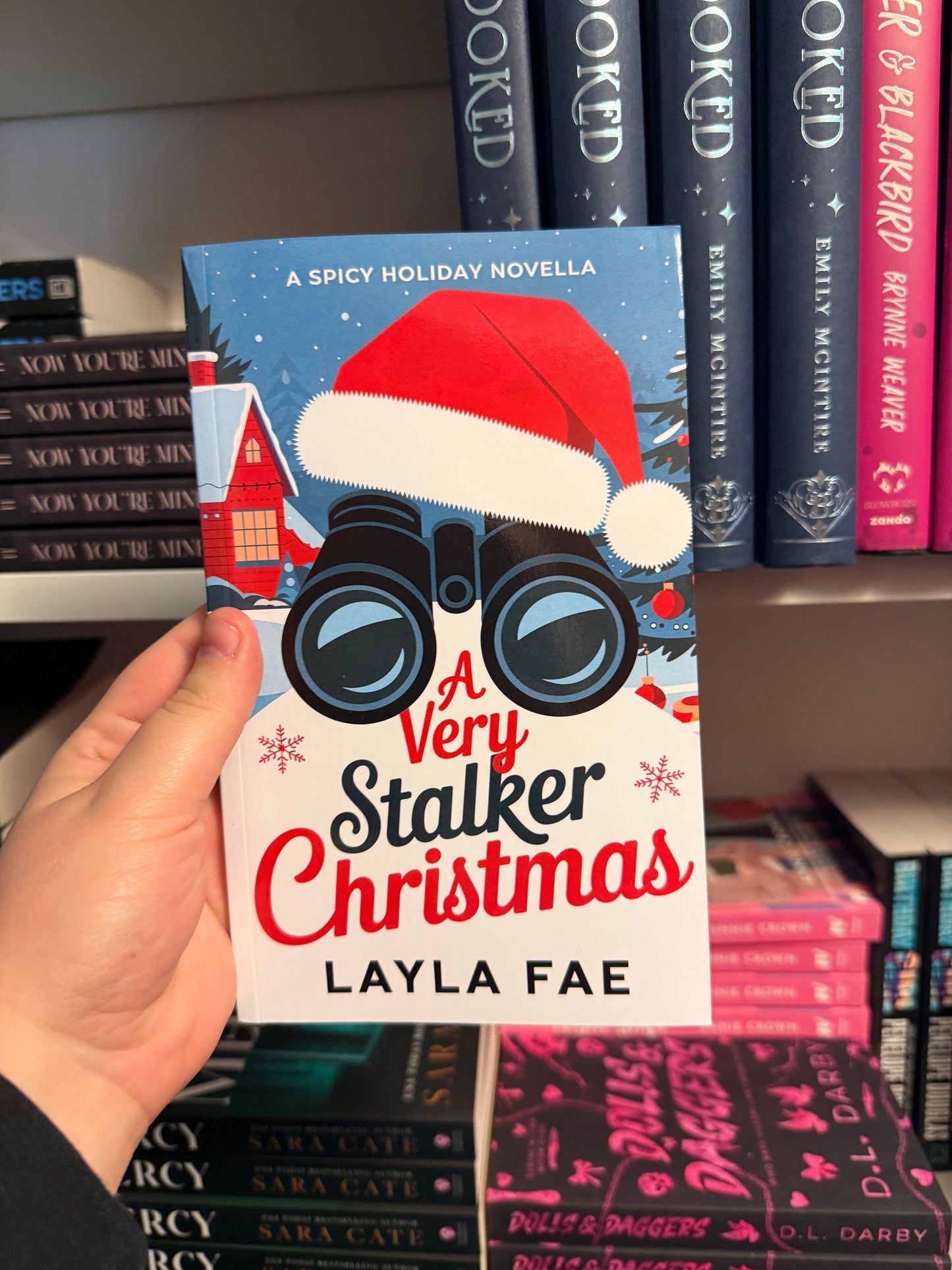 Spicy Christmas Book Bundle