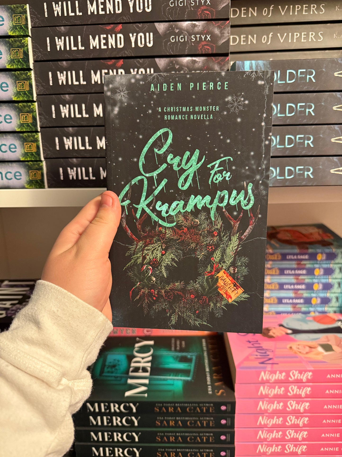 Spicy Christmas Book Bundle